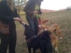 IMG_0533 IMG_0533