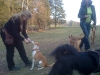 IMG_0539 IMG_0539