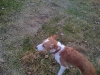 IMG_0557 IMG_0557