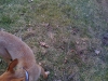 IMG_0559 IMG_0559