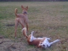 IMG_0566 IMG_0566