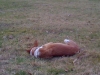 IMG_0567 IMG_0567