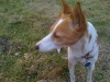 IMG_0570 IMG_0570