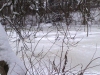 schnee-14 schnee-14