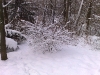 schnee5 schnee5