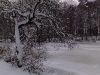schnee6 schnee6