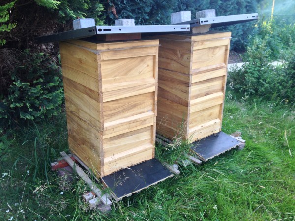 Bienen